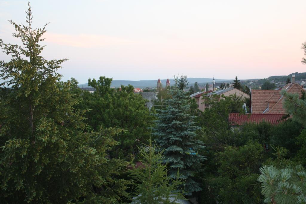 Barcza Vendeghaz Hotel Balatonfured Exterior photo